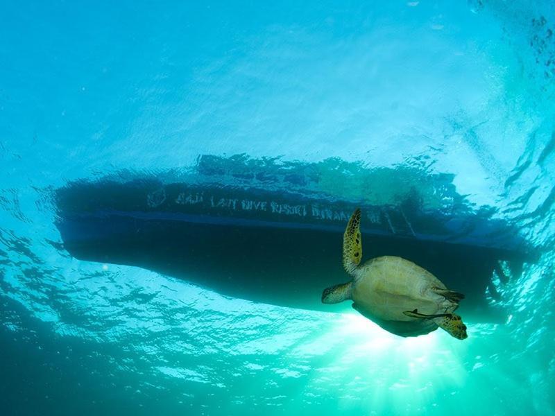 Raja Laut Dive Resort بوناكن المظهر الخارجي الصورة